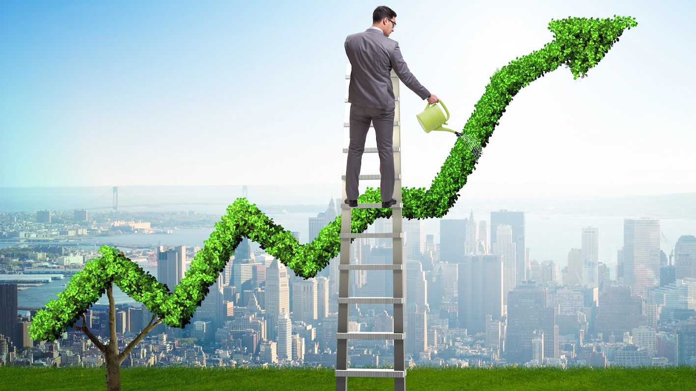 Growth Chart