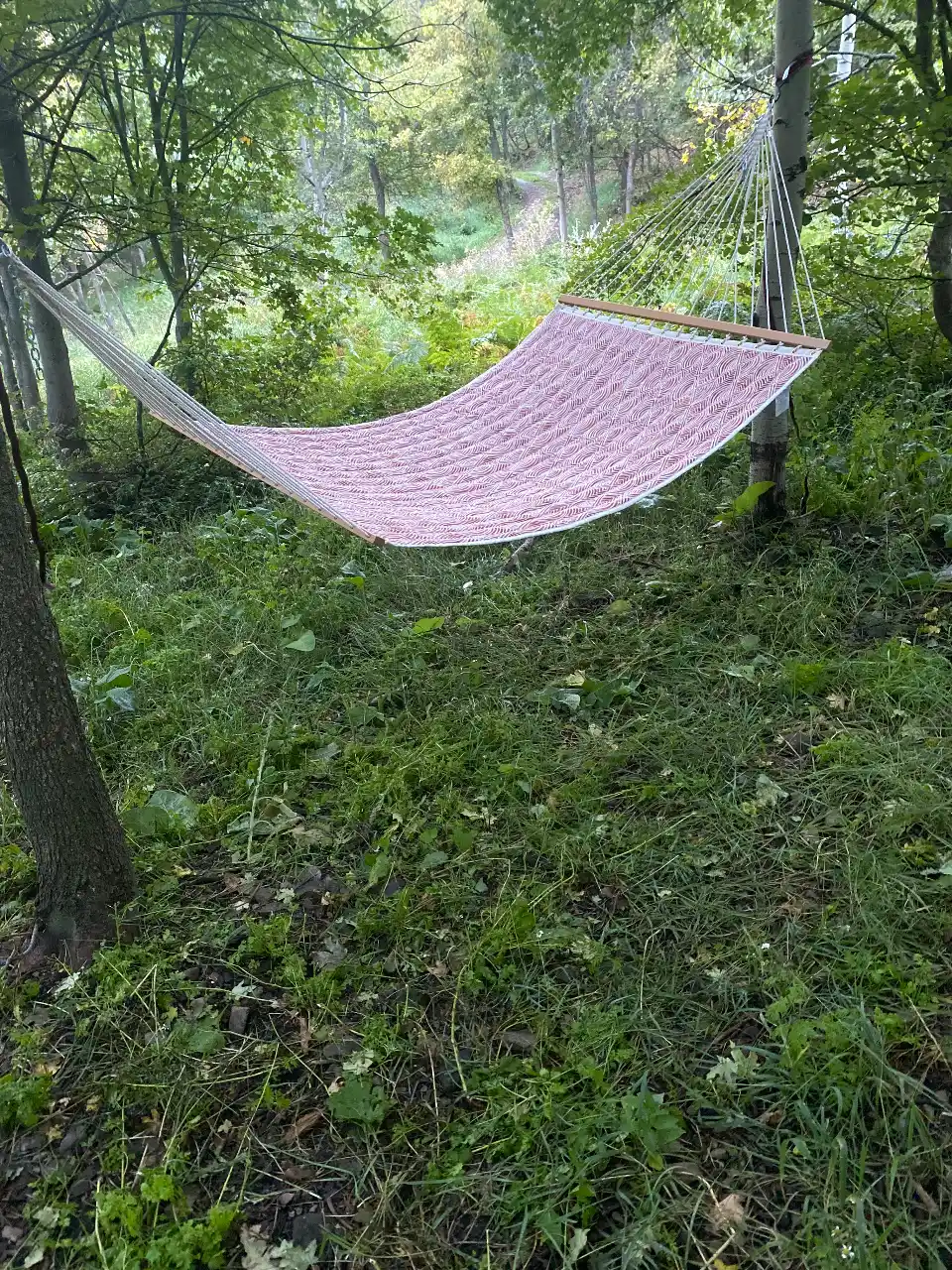 Hammock Installation
