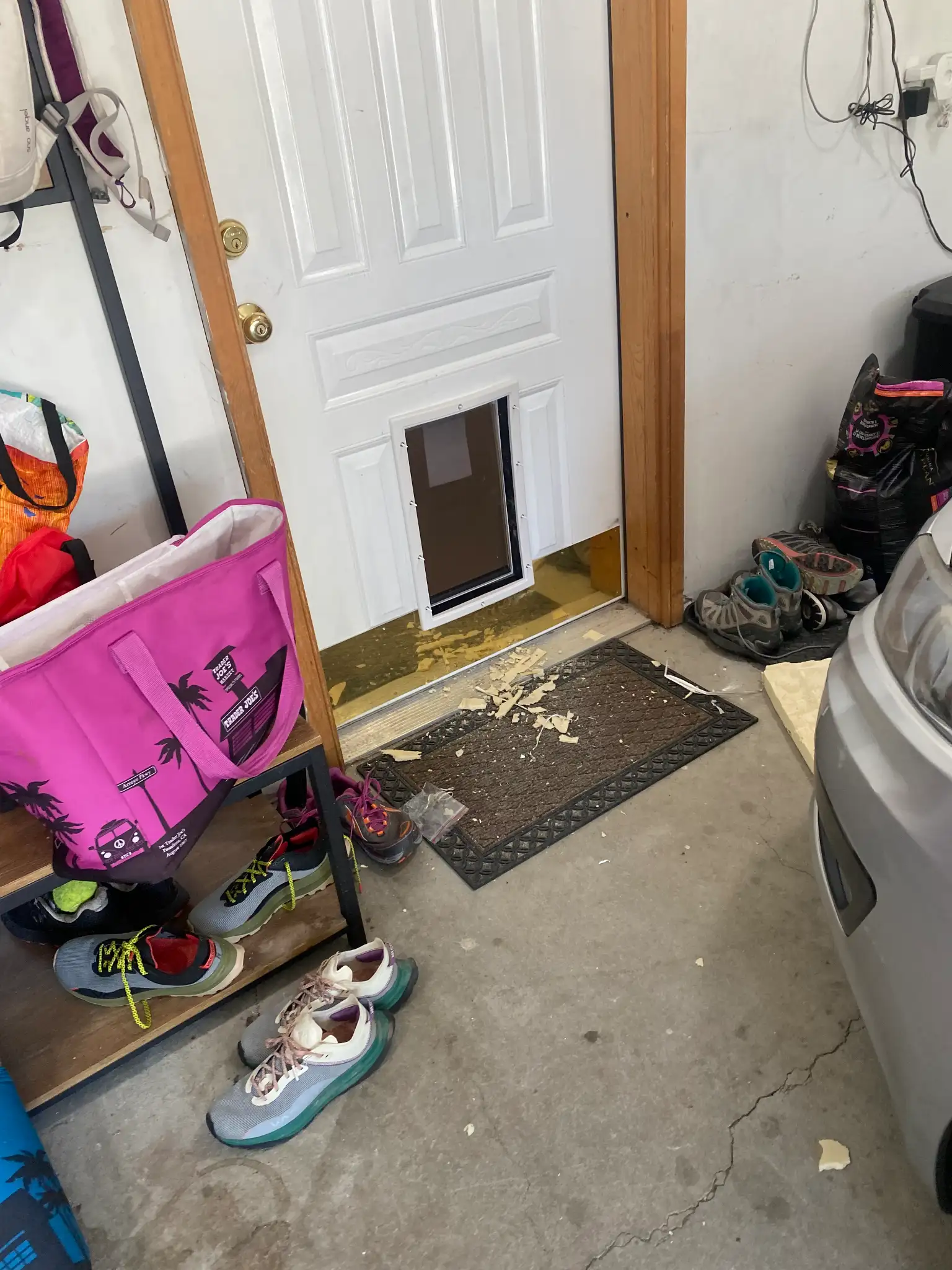 Doggie Door Installation