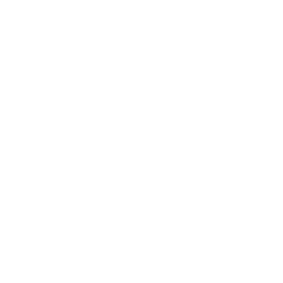 NextEvo Labs Logo