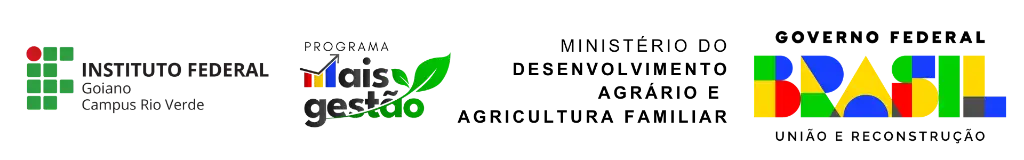 Mais Gestão Logo
