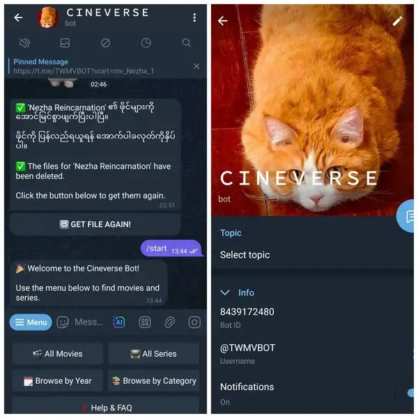 Movies Series Bot (Premium version)