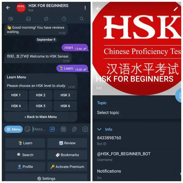 HSK For Beginners Bot