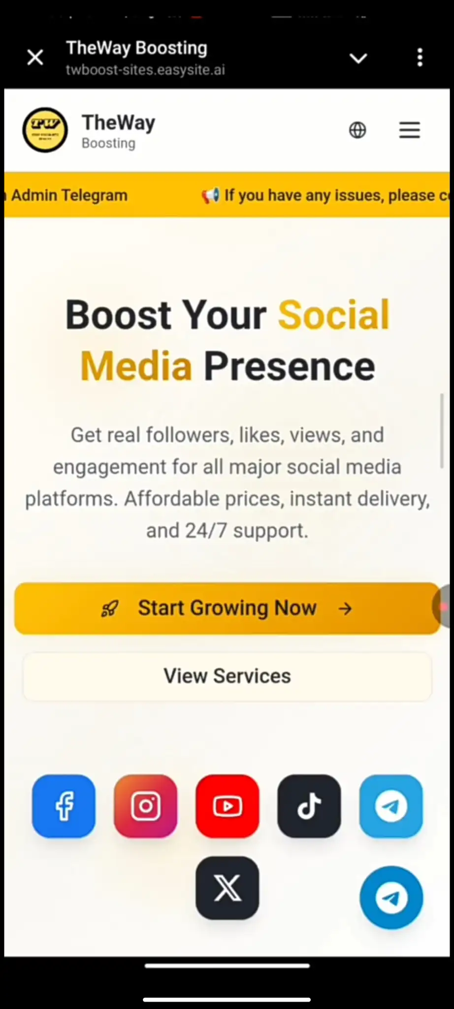 Social Boosting Service Website