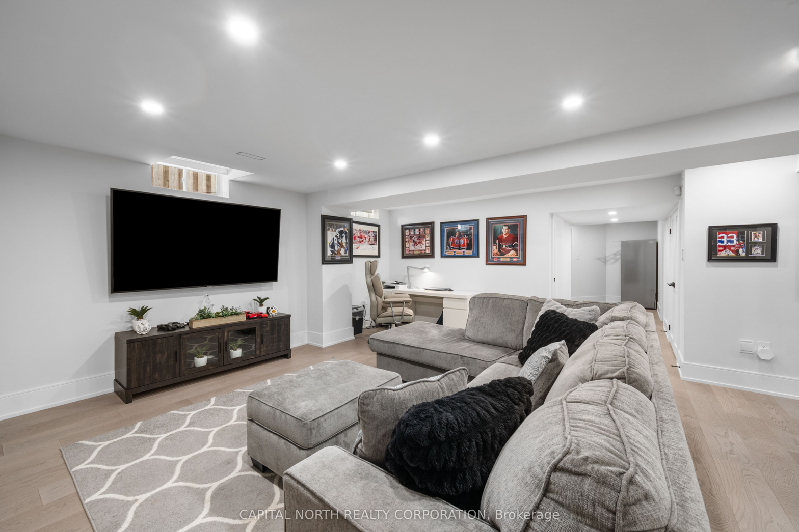 Basement Media Lounge