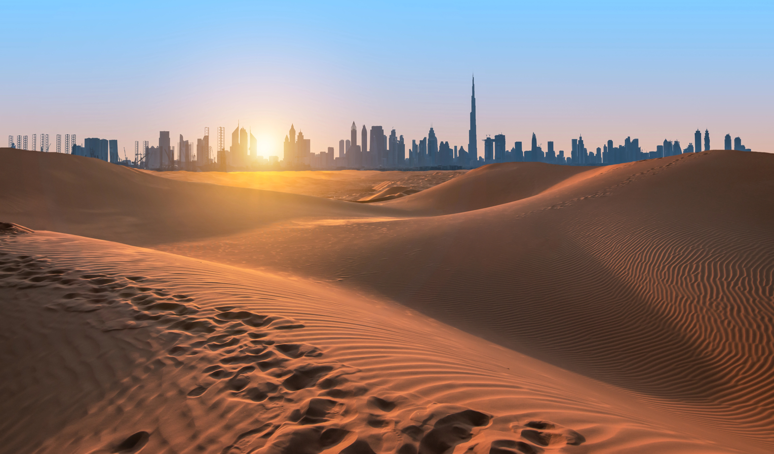 Desert Safari